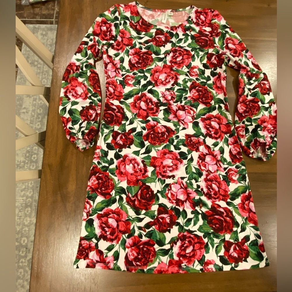 Tacera Roses Dress Size Small - Picture 2 of 7
